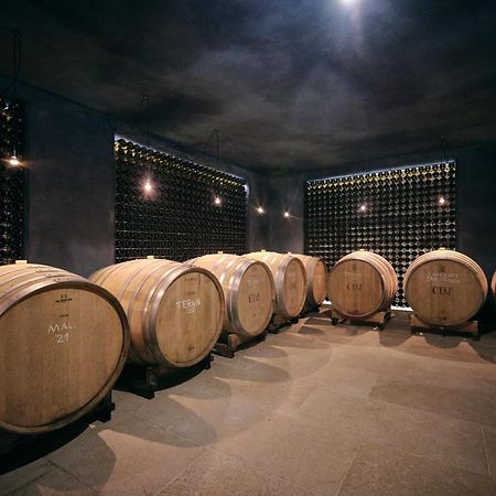 Winery Cuj Bed & Breakfast Vilanija Kültér fotó
