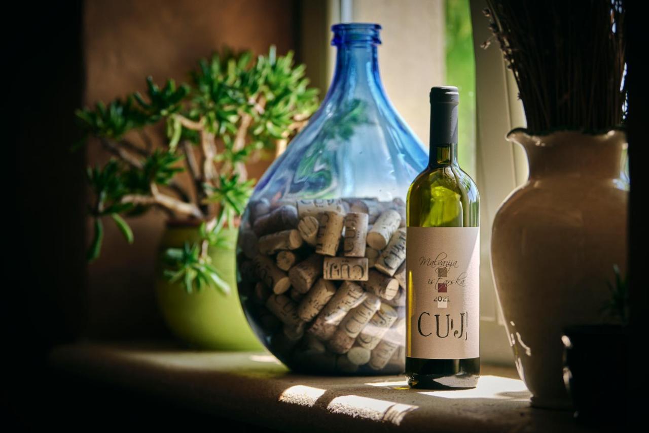 Winery Cuj Bed & Breakfast Vilanija Kültér fotó